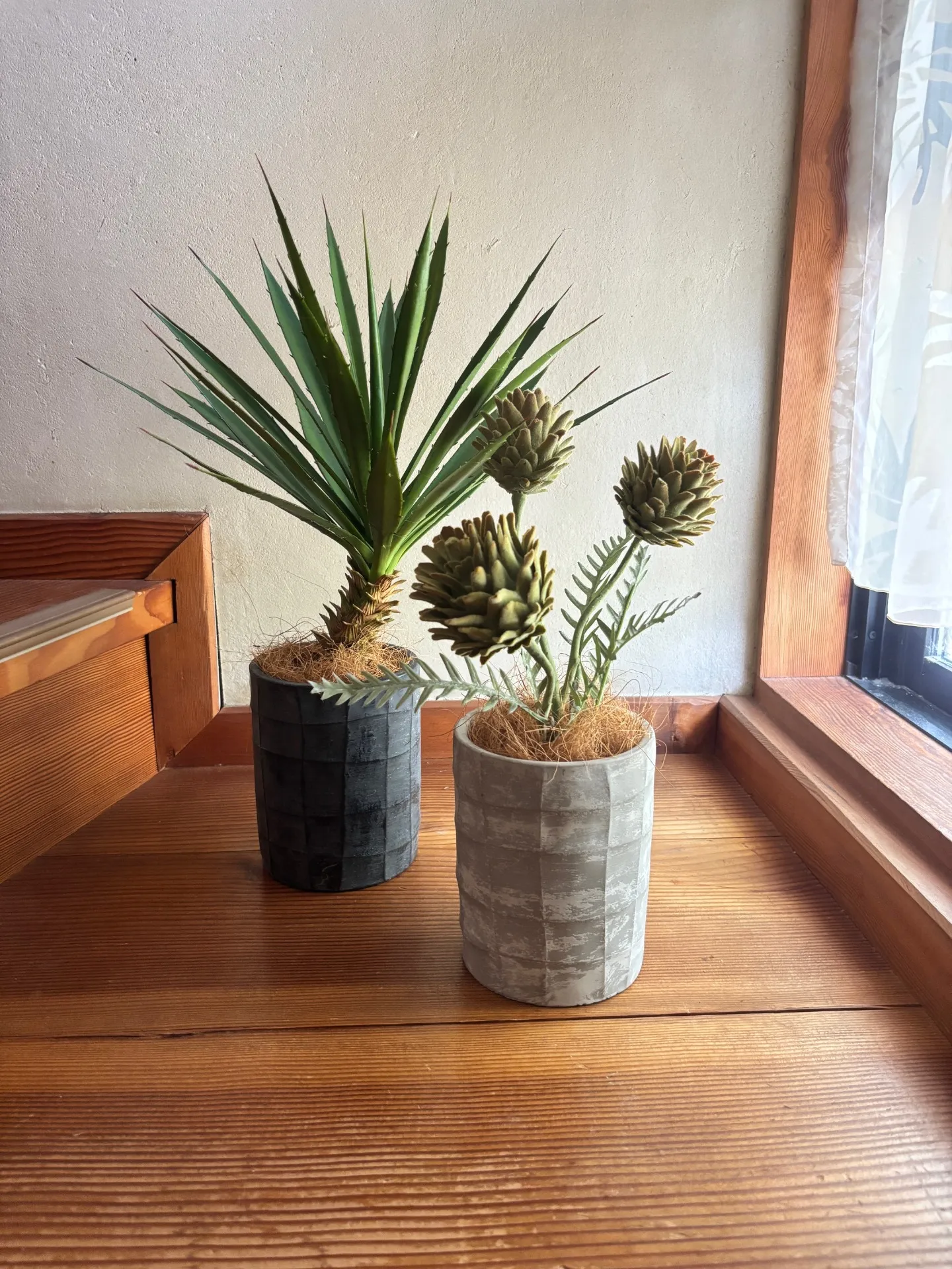 パン屋店内に調和する開店祝のグリーン提案