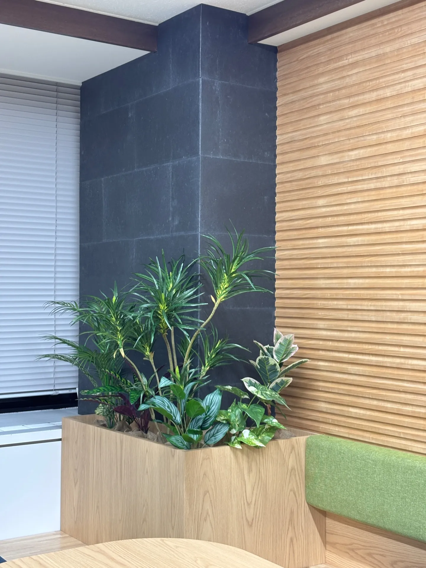 オフィスの一角に🌿