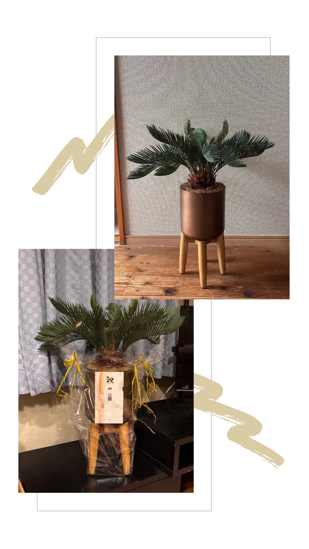 男前 理容室💈への贈り物