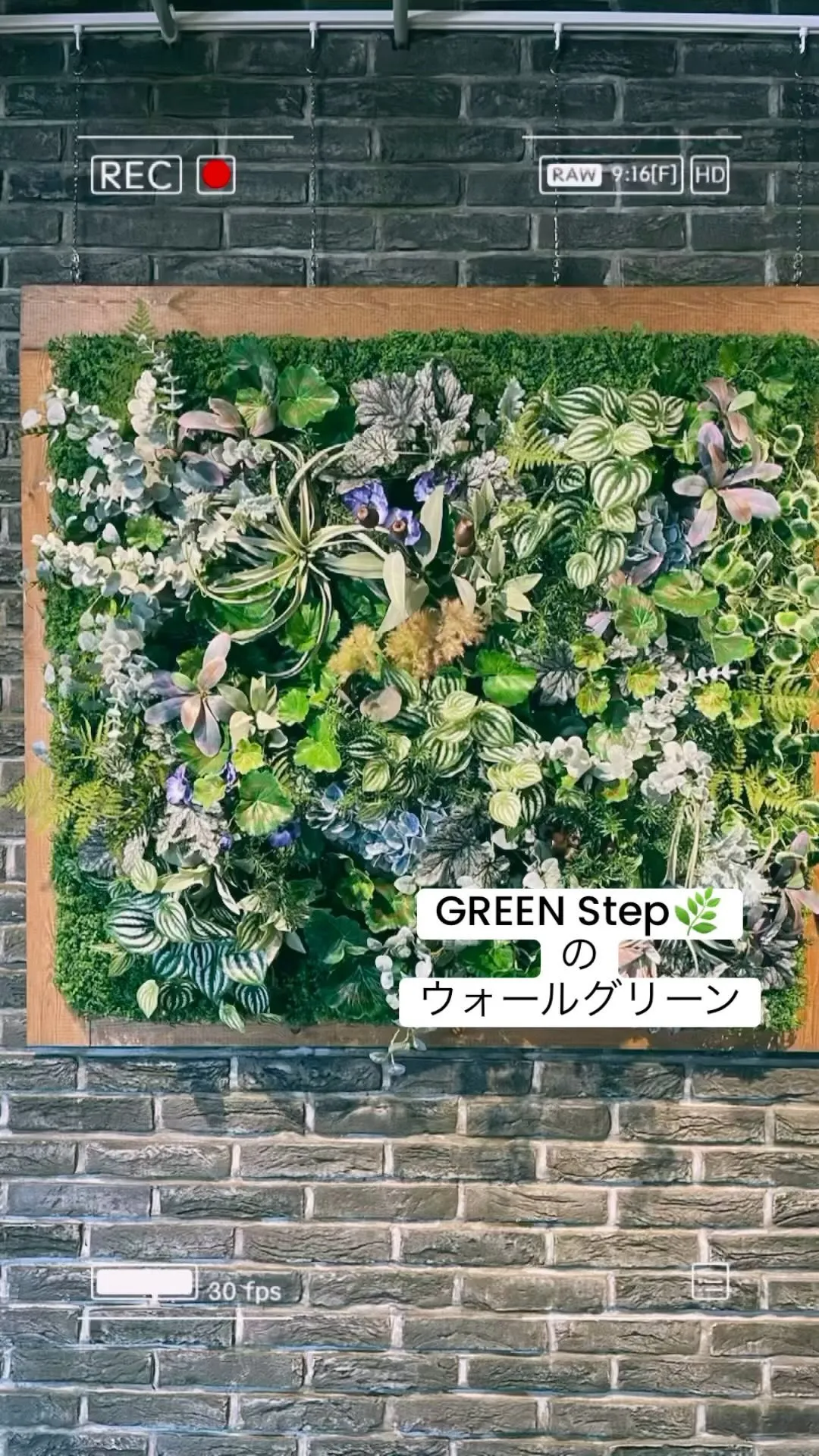 GREEN Step🌿の壁面緑化